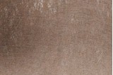 Zoom sur Toile de Paillage Plantex Gold