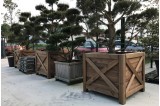 Populus G vert 680x700x700 mm