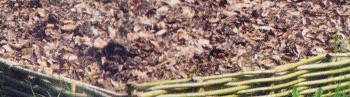 Les bordures naturelles