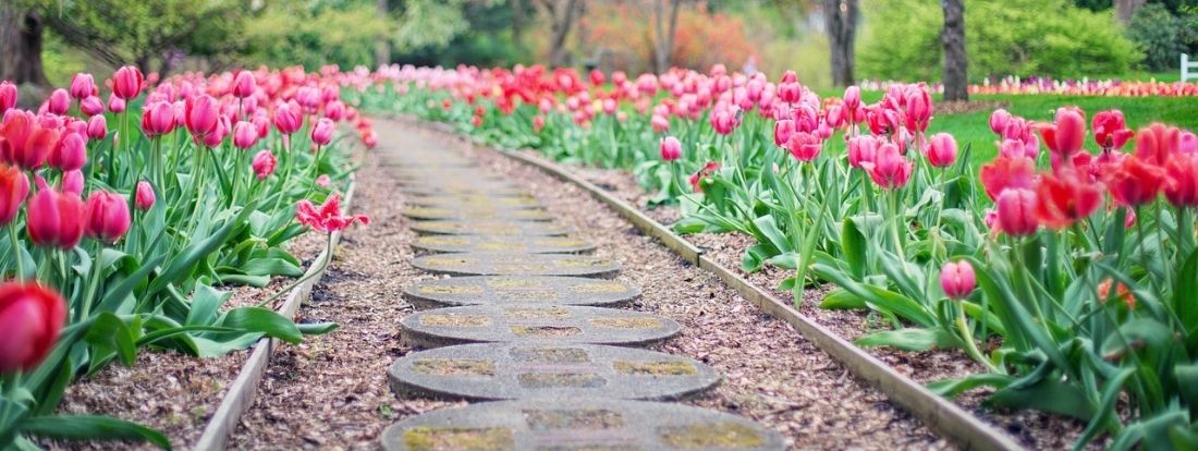 bordure de jardin