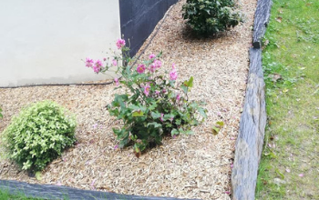 Paillage jardin en miscanthus