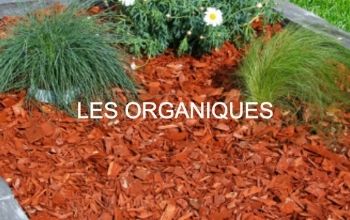 paillage organique